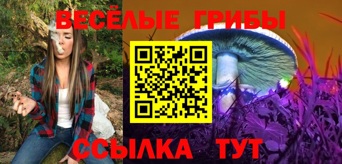 Галлюциногенные грибы Psilocybine cubensis Среднеуральск