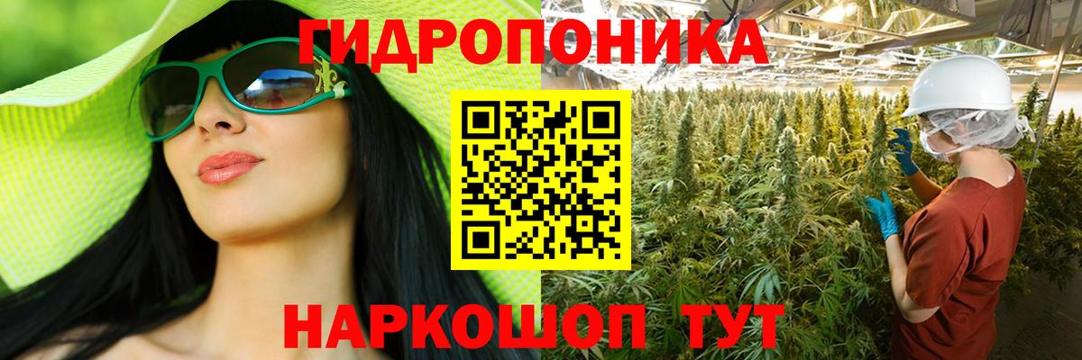 Шишки марихуана MAZAR Среднеуральск